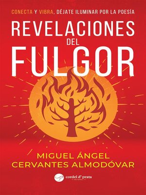 Revelaciones del Fulgor - ebook